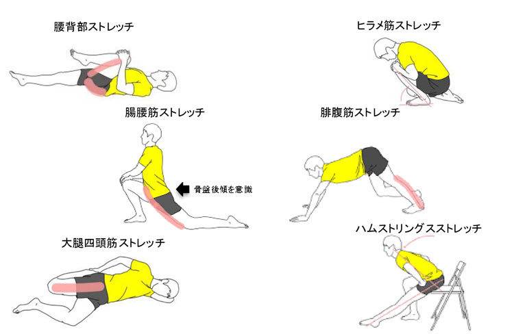 ストレッチング